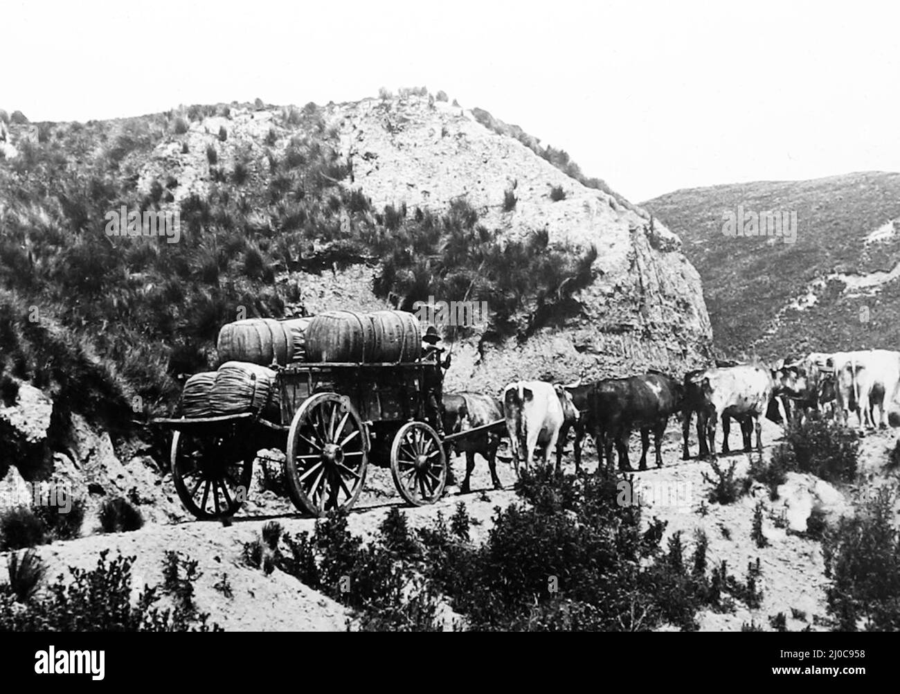 Transport von Wolle von der Sheep Station zum Bahnhof für den Export, Australien, viktorianische Zeit Stockfoto