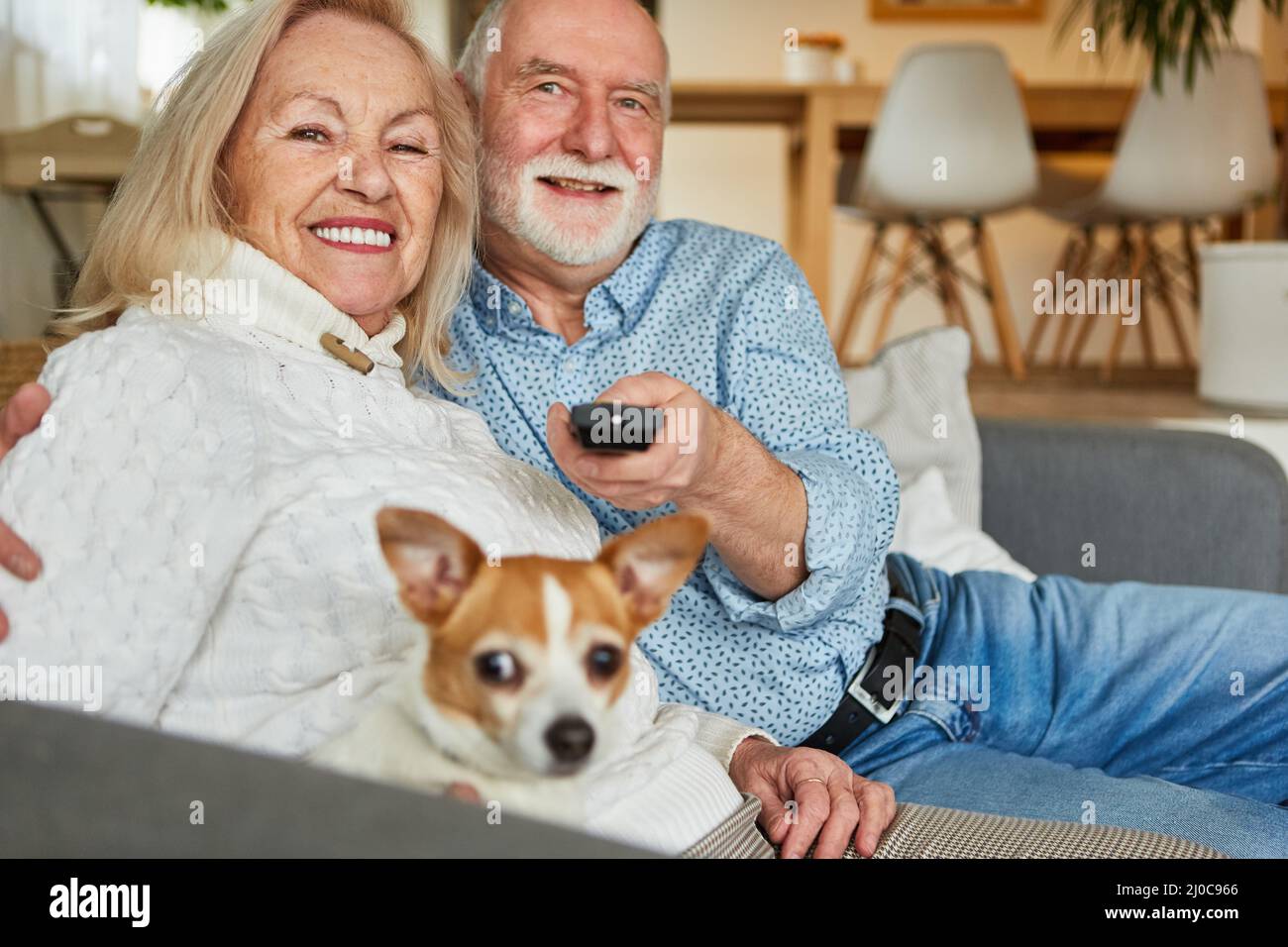 Glückliches Seniorenpaar mit kleinem Hund und Fernbedienung zu Hause beim Fernsehen Stockfoto