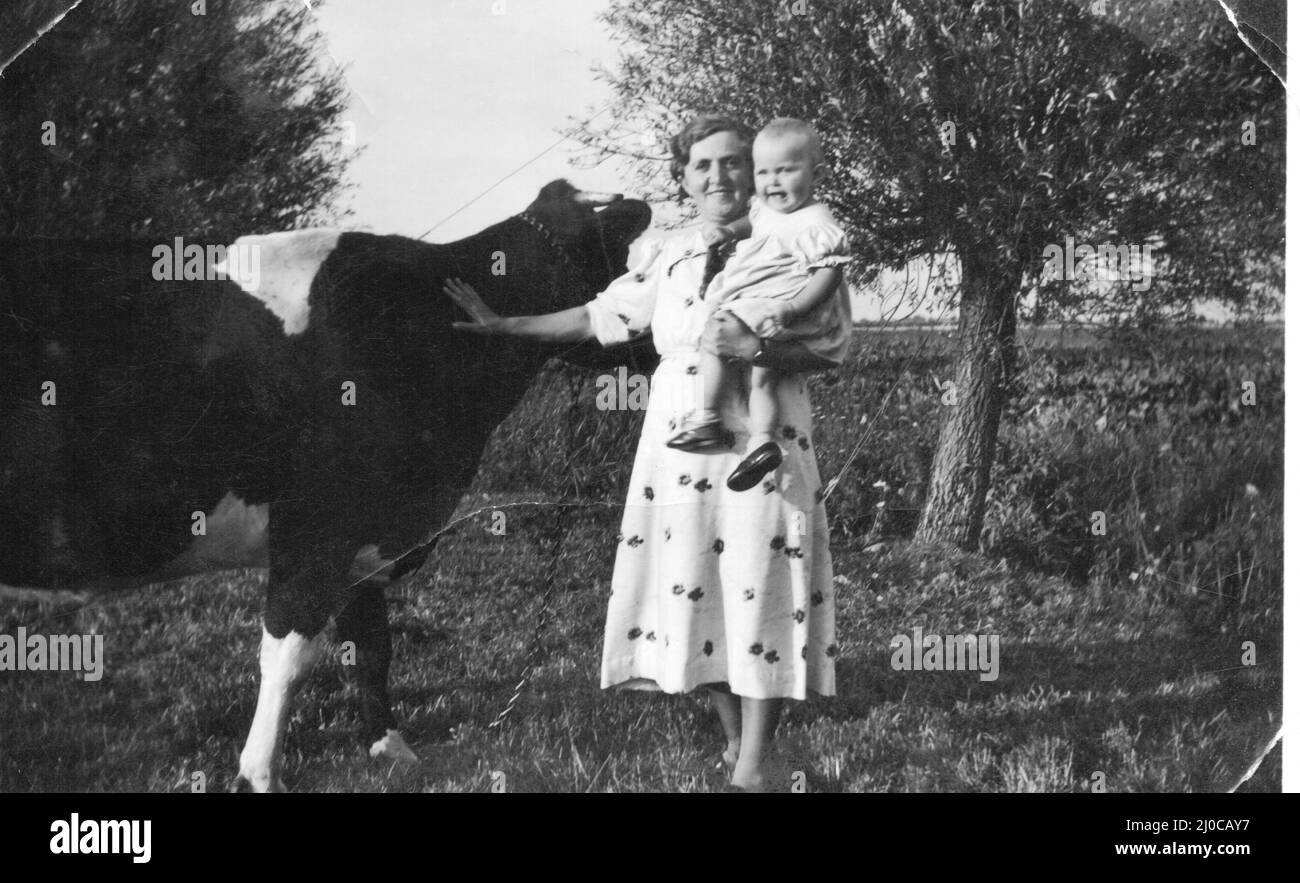 Authentisches Vintage-Foto einer lächelnden Frau, die das Baby neben der Kuh in Schweden hält Stockfoto