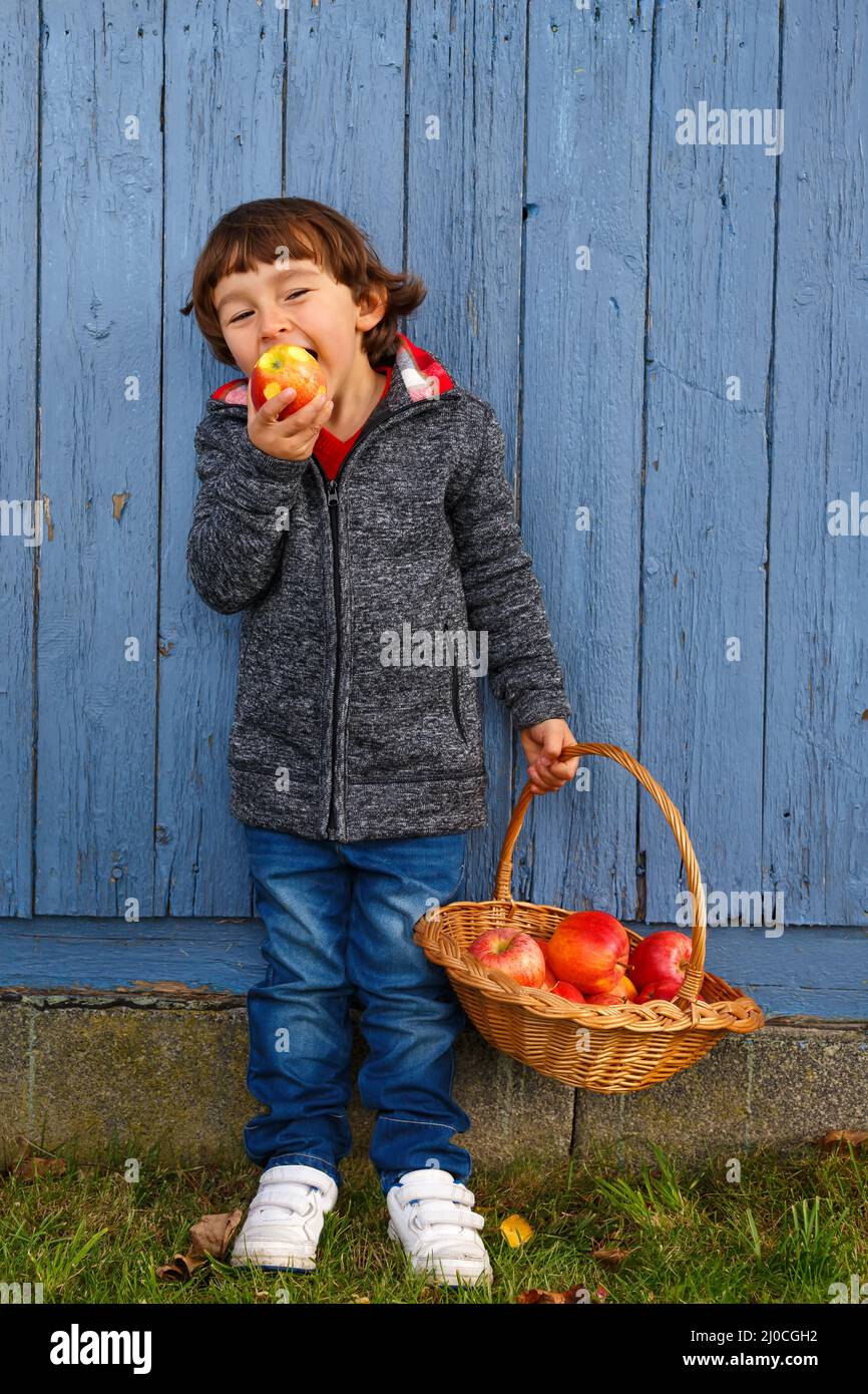 Kind Apfelfrüchte Früchte essen ganzen Körper Herbst gesunde Ernährung Stockfoto
