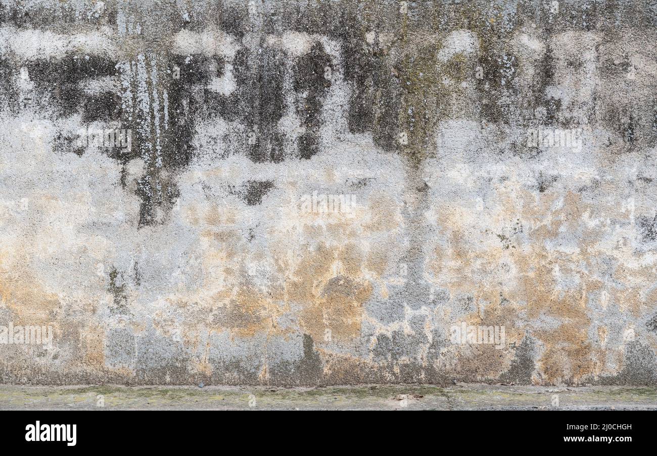 Graue alte Betonwand mit Feuchtigkeit Stockfoto