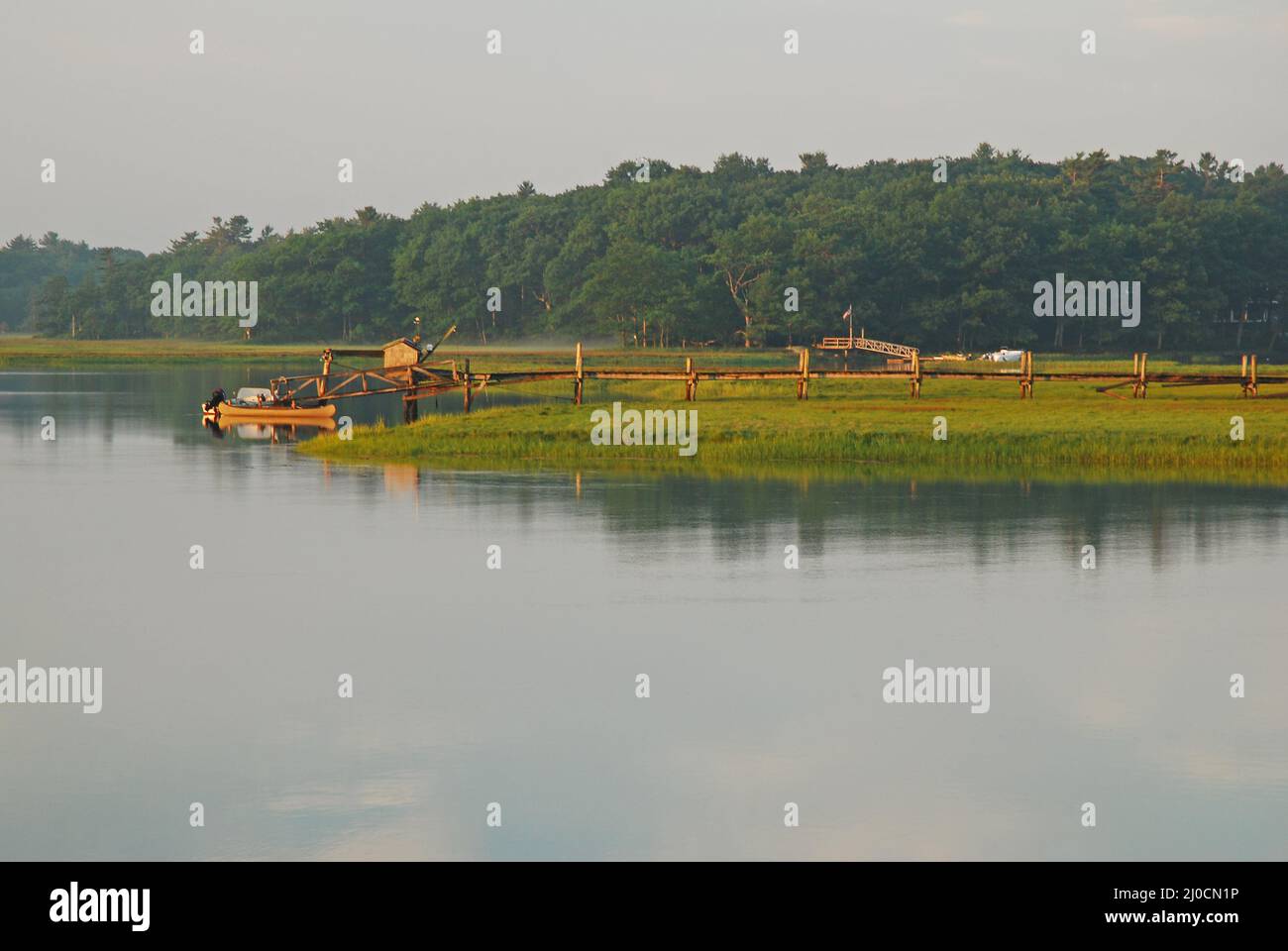 Am Morgen verweilt ein Nebel über einem Sümpfe der Küste von Neuengland Stockfoto