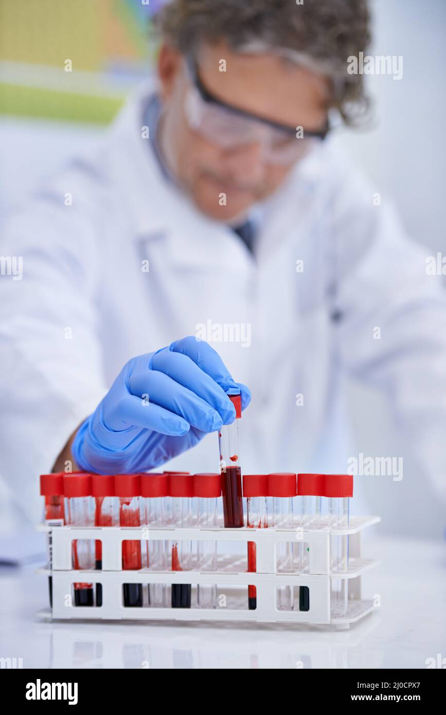 Wissenschaft hilft bei der Lösung von Verbrechen. Eine ausgeschnittene Aufnahme eines reifen Wissenschaftlers, der in seinem Labor mit Blutproben arbeitet. Stockfoto