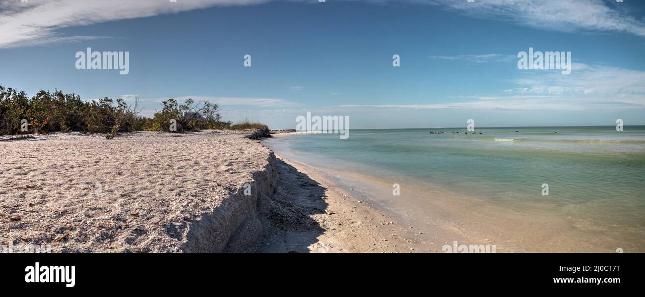 White Sand Beach und Aqua Blue Water von Clam Pass in Naples, Florida Stockfoto