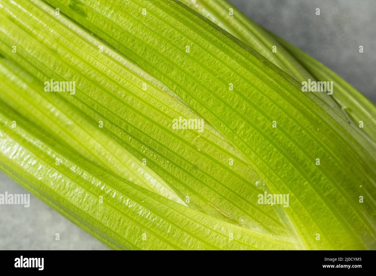 Rohe grüne Bio-Sellerie Stängel in einem Haufen Stockfoto
