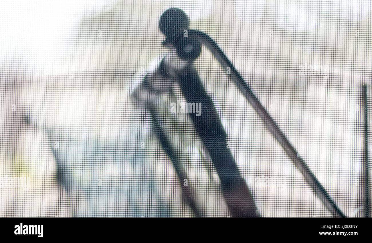 Schwarze Plastikstühle im Freien geben durch die Bildschirmtür eine Atmosphäre ab Stockfoto