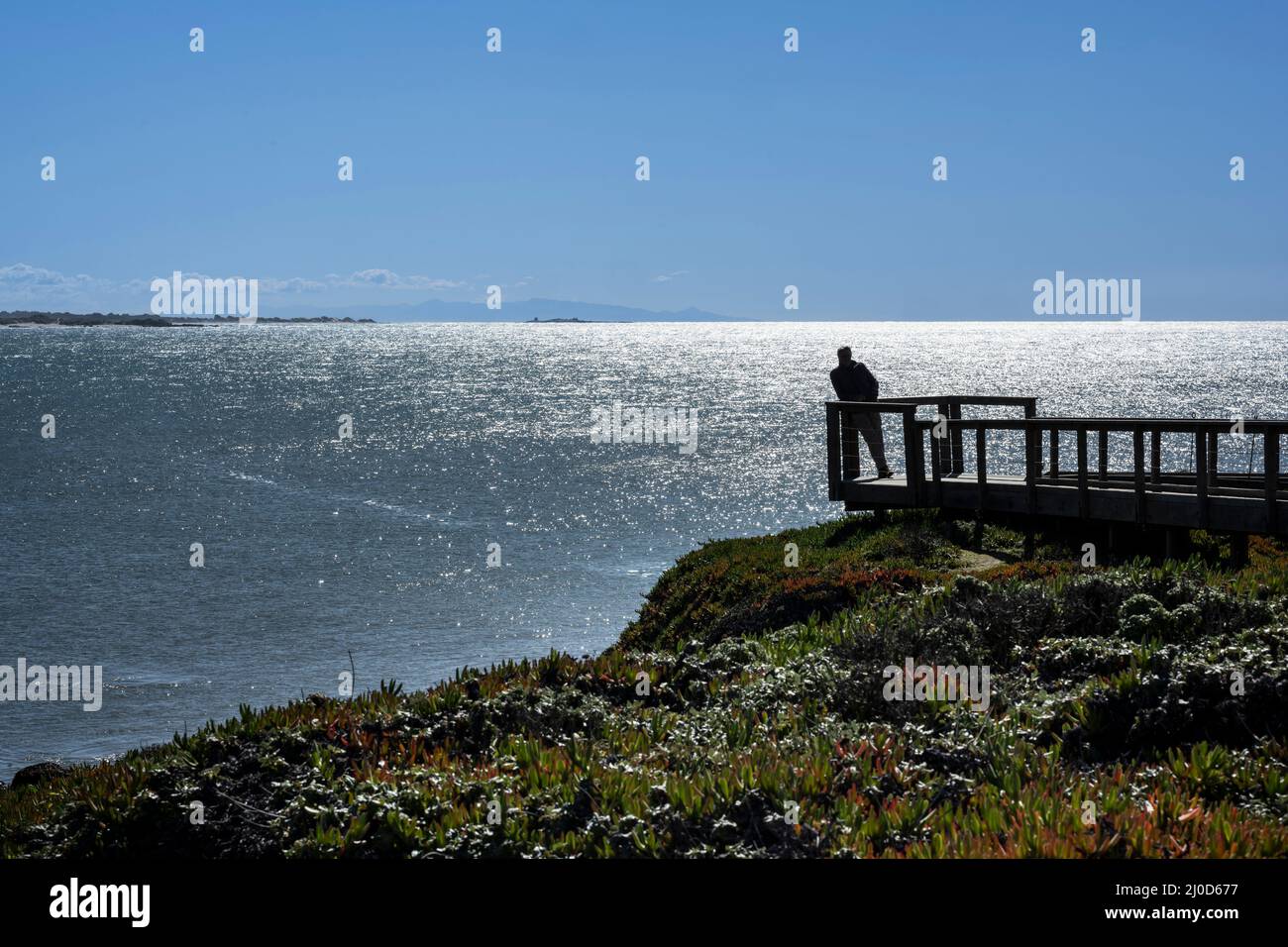 ViewPoint, Pigeon Point California Stockfoto