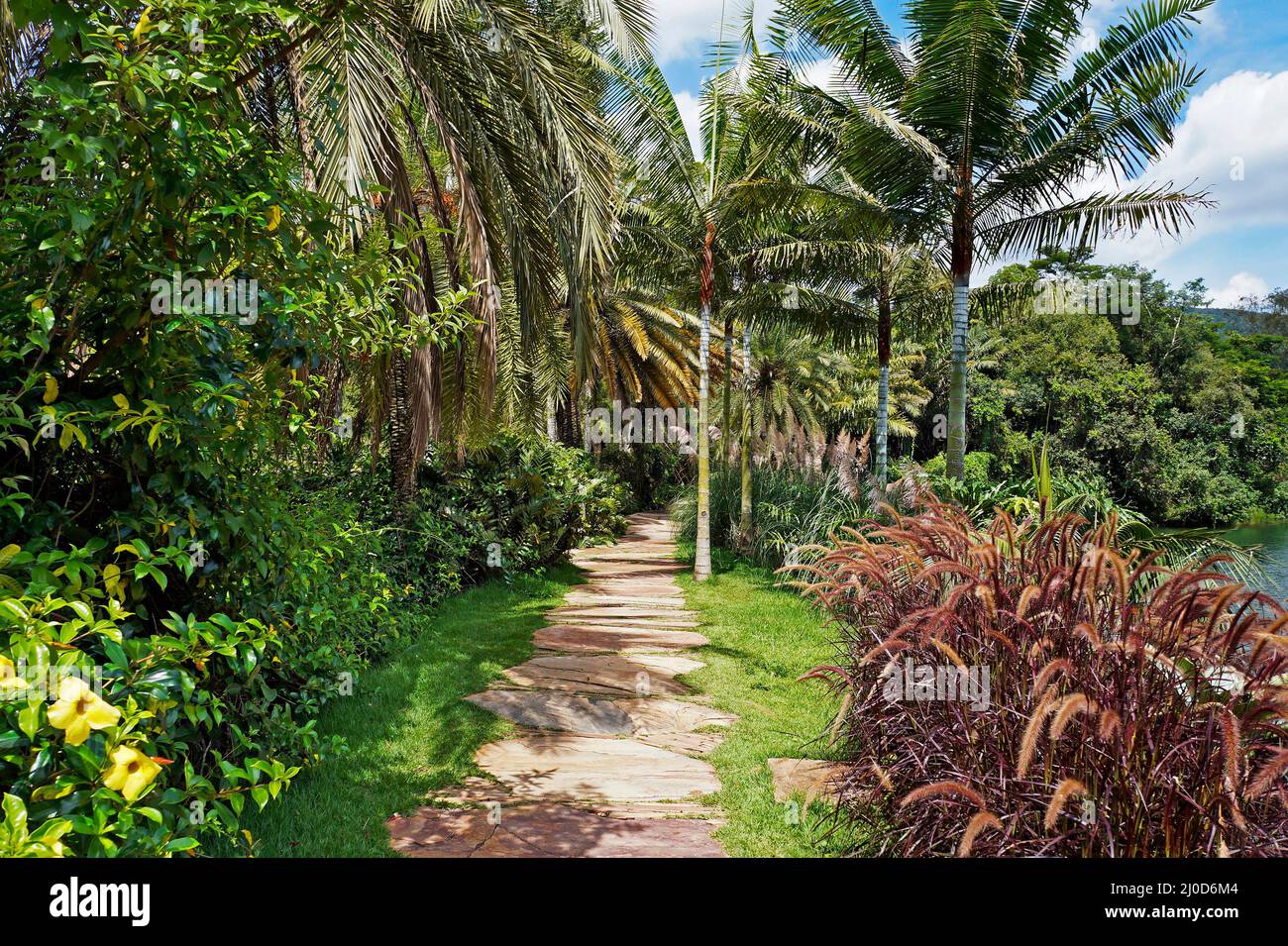Pfad im tropischen Garten, Minas Gerais, Brasilien Stockfoto