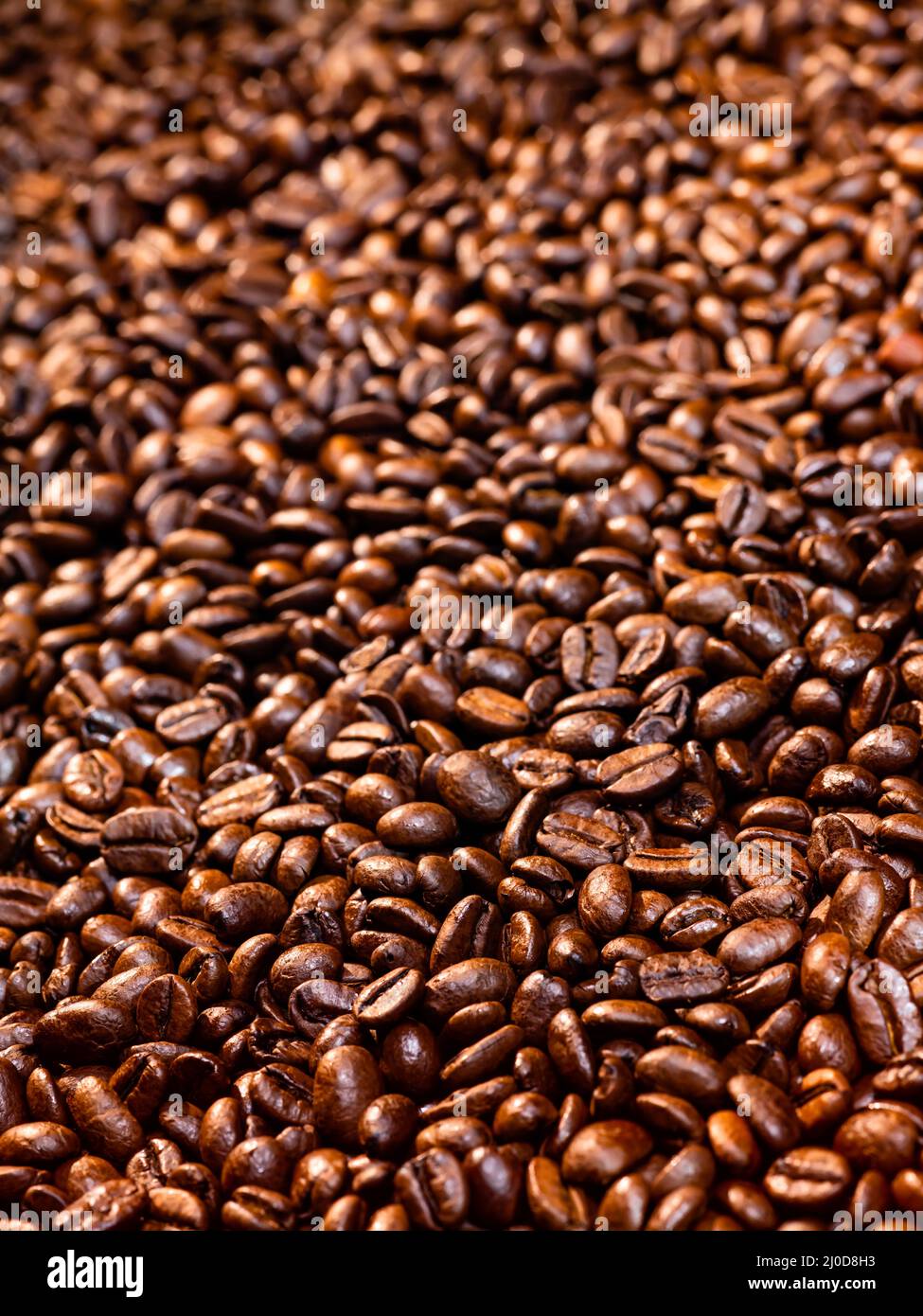 Frisch geröstete Bio-Kaffeebohnen, Espresso Stockfoto