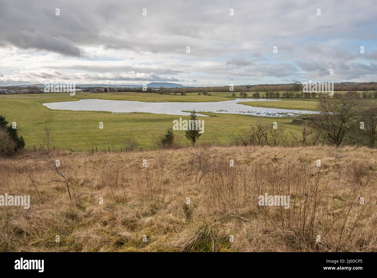 Hellifield Blitze, ein Feuchtgebiet in der Nähe von Gallaber Teich und das gesamte Gebiet wichtig für Zugvögel & Überwinterungsvögel. Kontroverse Planung. Stockfoto