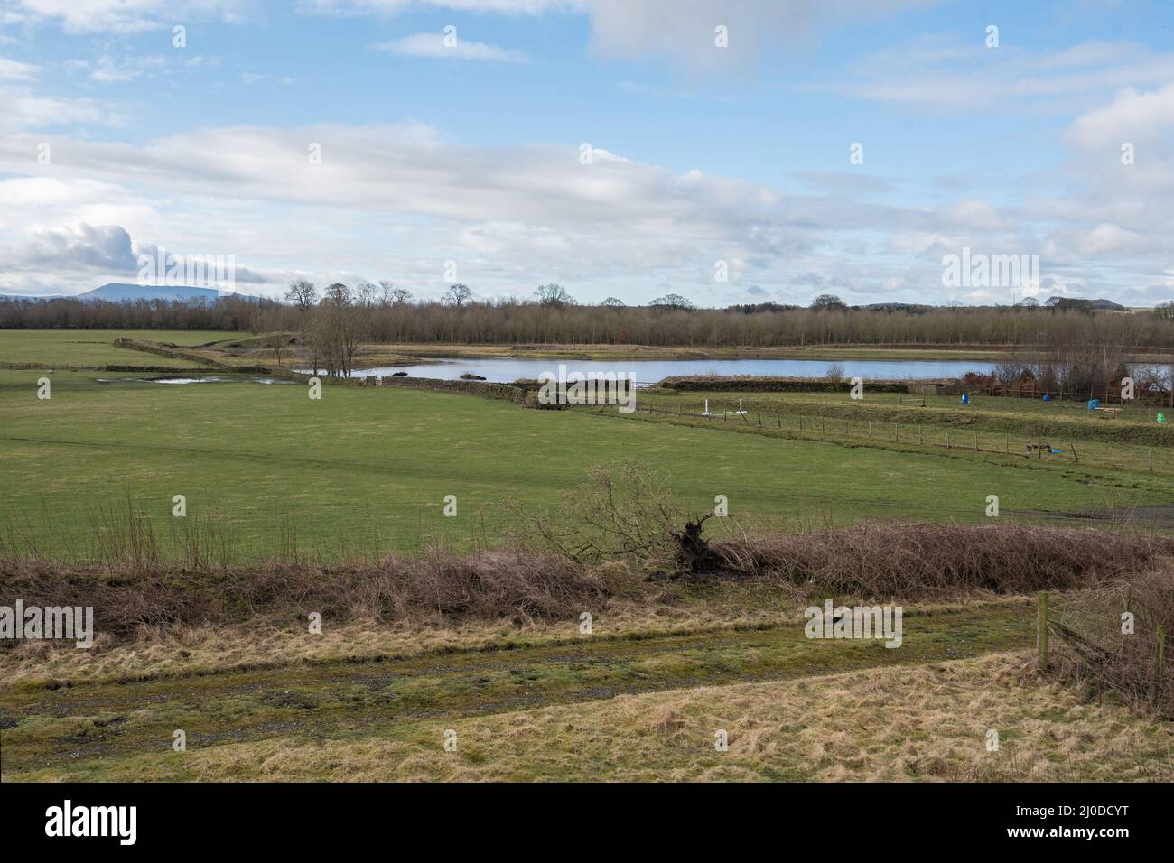 Hellifield Blitze, ein Feuchtgebiet in der Nähe von Gallaber Teich und das gesamte Gebiet wichtig für Zugvögel & Überwinterungsvögel. Kontroverse Planung. Stockfoto