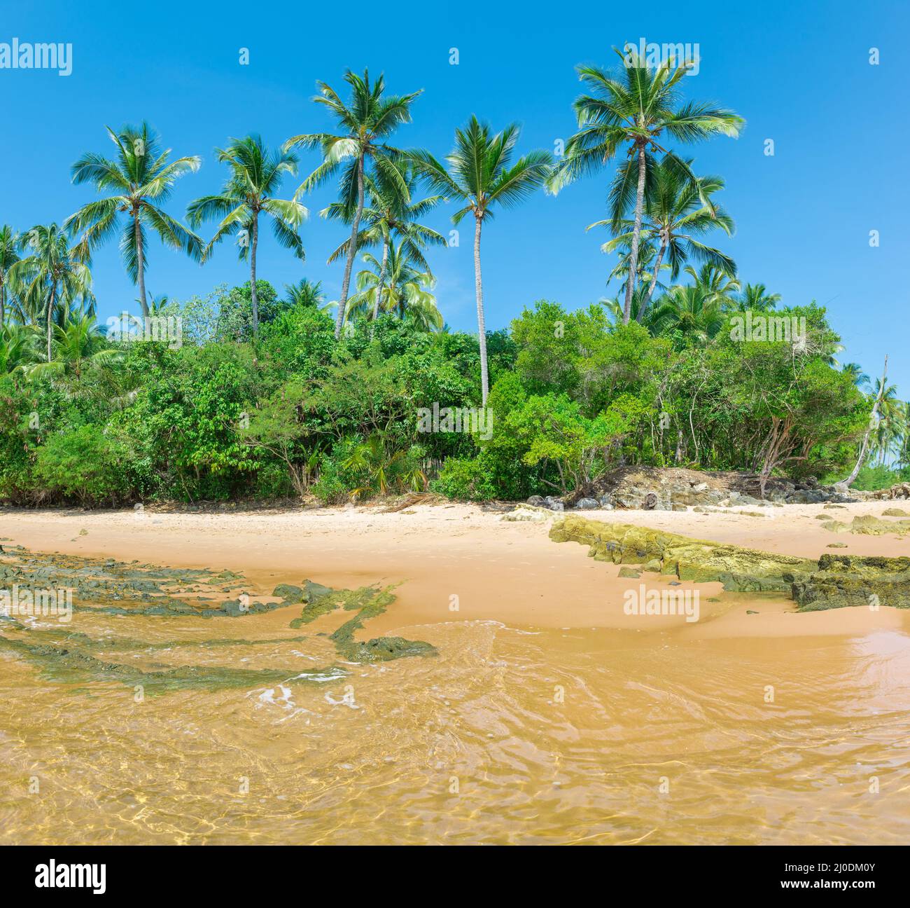 Isolierter paradiesischer Strand mit sonnigem, schönem Tag Stockfoto