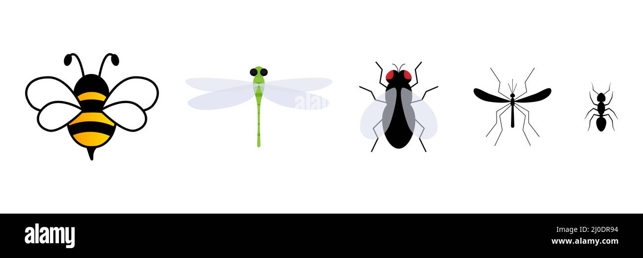 Niedliches, flaches Insektencharacter-Set. Niedliche Biene, Libelle, Fliege, Mücke und Ameise. Stock Vektor