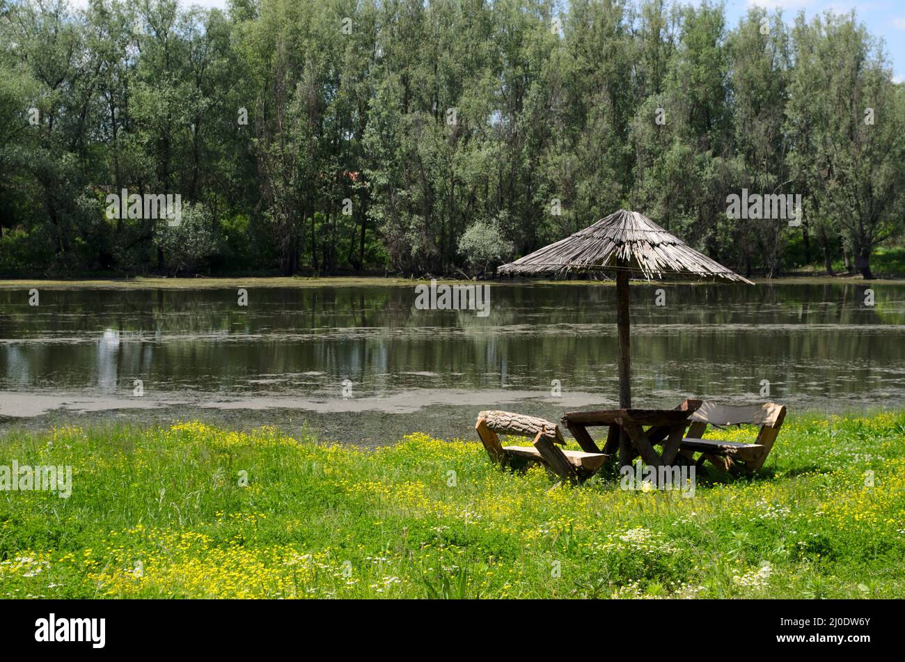 Sonnenschirm und Bänke am Fluss Bosut, Srem, Vojvodina, Serbien Stockfoto