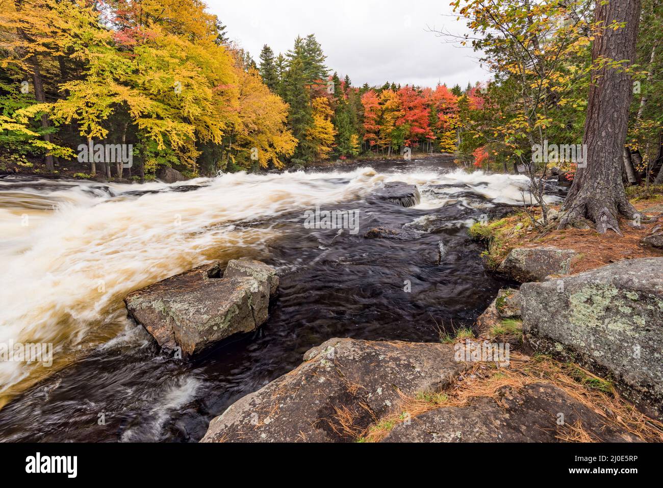 Obere Stromschnellen bei Buttermilk Falls, Hamilton County, Long Lake, NY Stockfoto