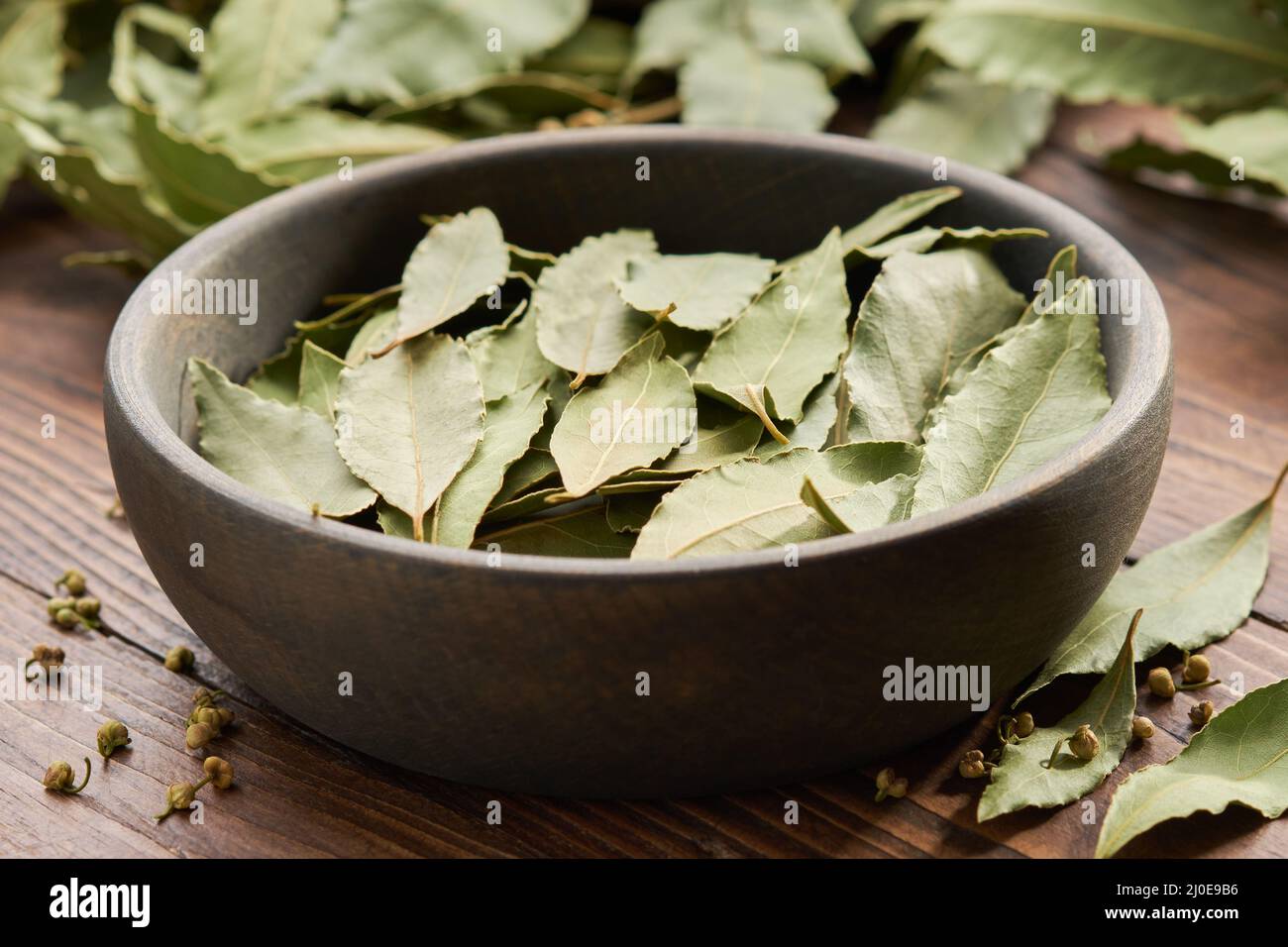 Holzschale aus getrockneten Lorbeerblättern. Ast und Zweige von grünen Lorbeerblättern auf dem Hintergrund. Stockfoto