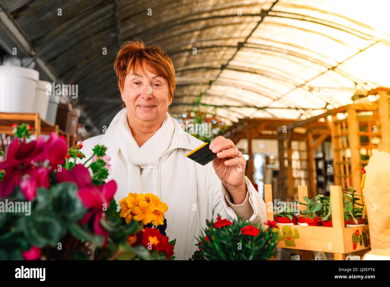 Ältere Frau zahlt für Blumen, die sie in einem Gewächshaus gekauft hat Stockfoto