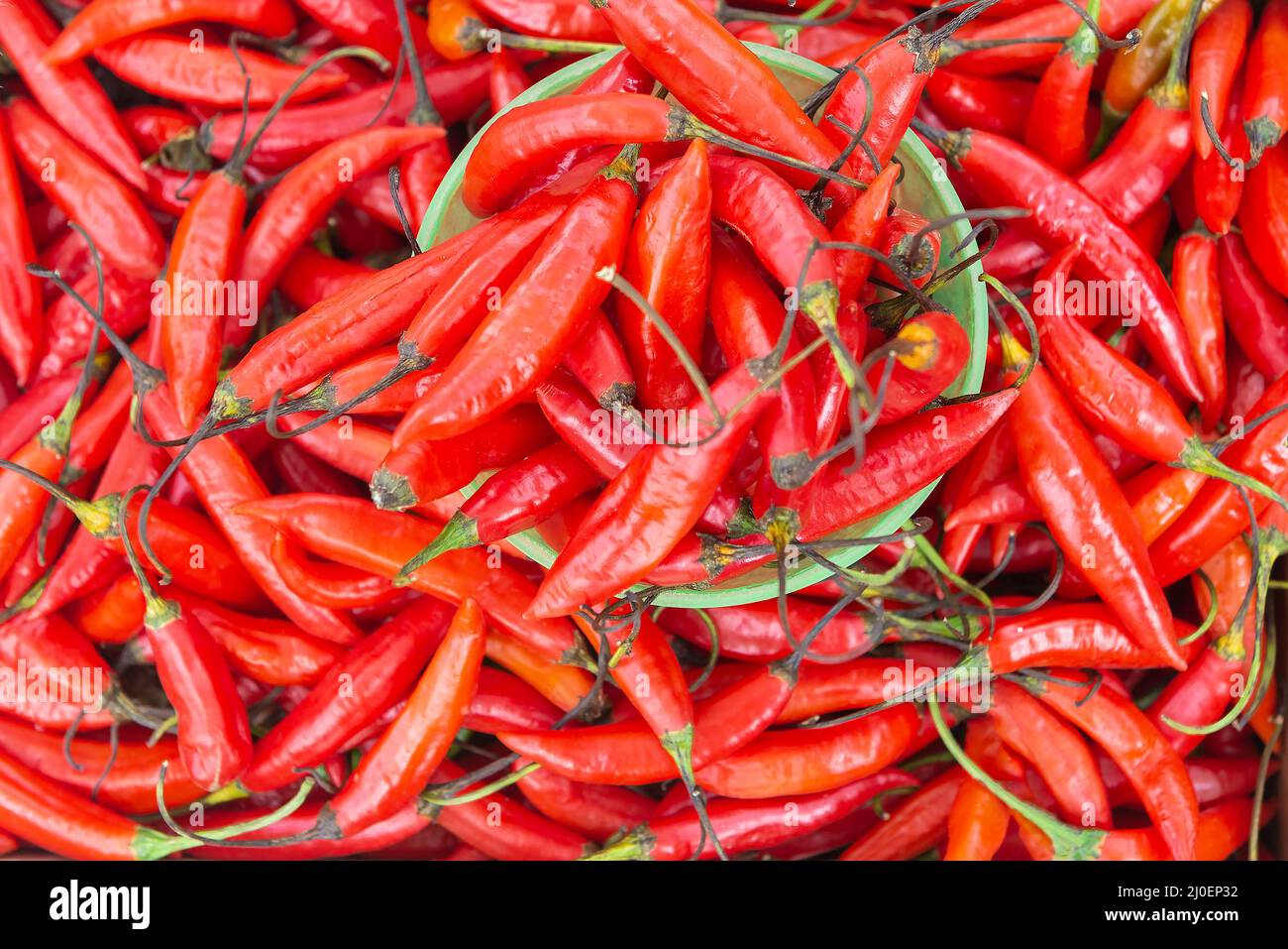 Frischer, reifer Chilischote, der überall verteilt wird Stockfoto