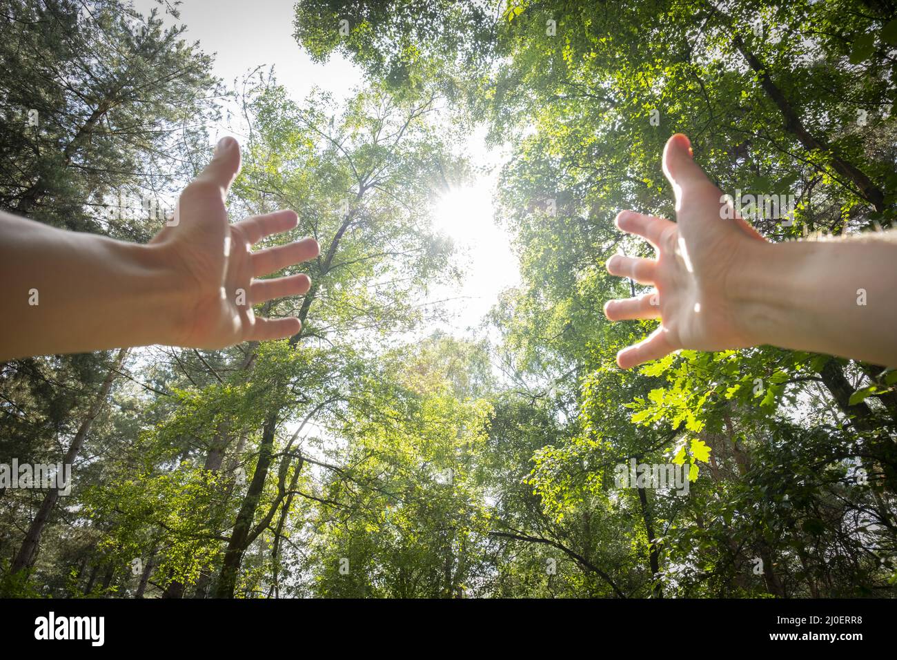 Persönliche Perspektive eines Mannes mit ausgestreckten Armen in einem Wald Stockfoto