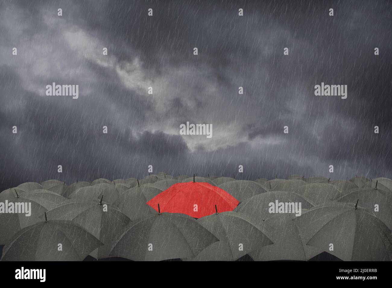 Ein roter Regenschirm, umgeben von einer Sammlung von schwarzen Regenschirmen im Regen Stockfoto