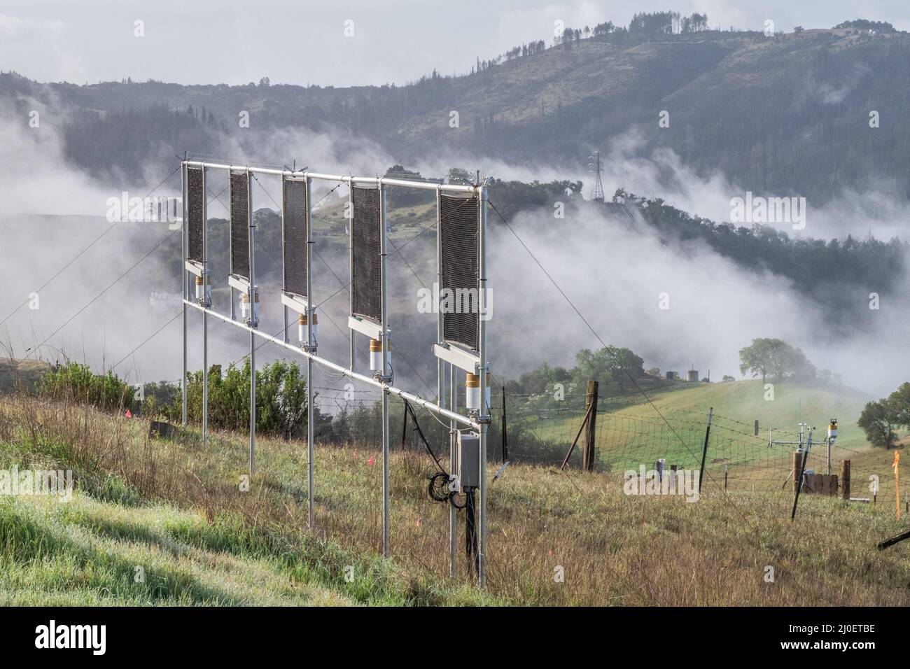Ein Nebelfänger steht auf einem Hügel in Kalifornien, während sich Wolken und Nebel einziehen, sammeln die Gitterschirme Kondenswasser aus den vorbeiziehenden Nebeln. Stockfoto
