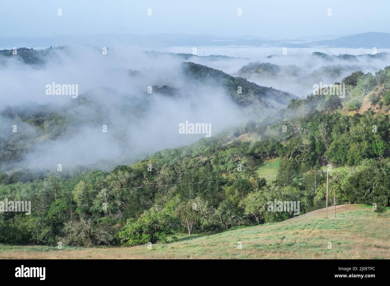Niedrige Wolken überziehen die Hügel in Sonoma County, Kalifornien. Stockfoto
