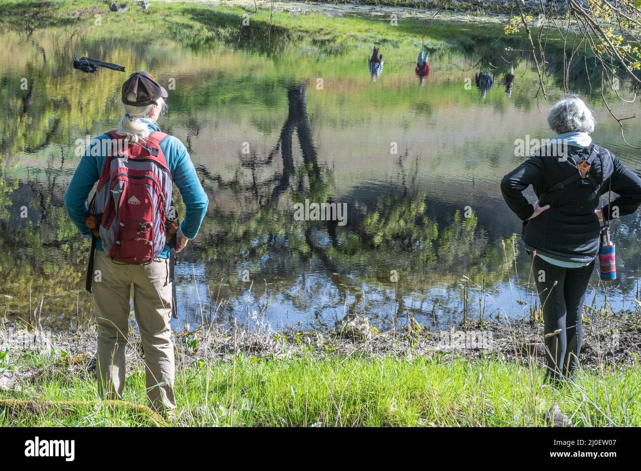 Ältere Wanderer blicken an einem schönen Frühlingstag über einen Teich mit glattem Wasser und Spiegelungen in der Landschaft Nordkaliforniens. Stockfoto