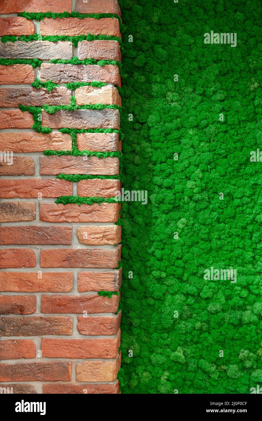 Ziegelwand mit dekorativem grünem Moos Stockfoto