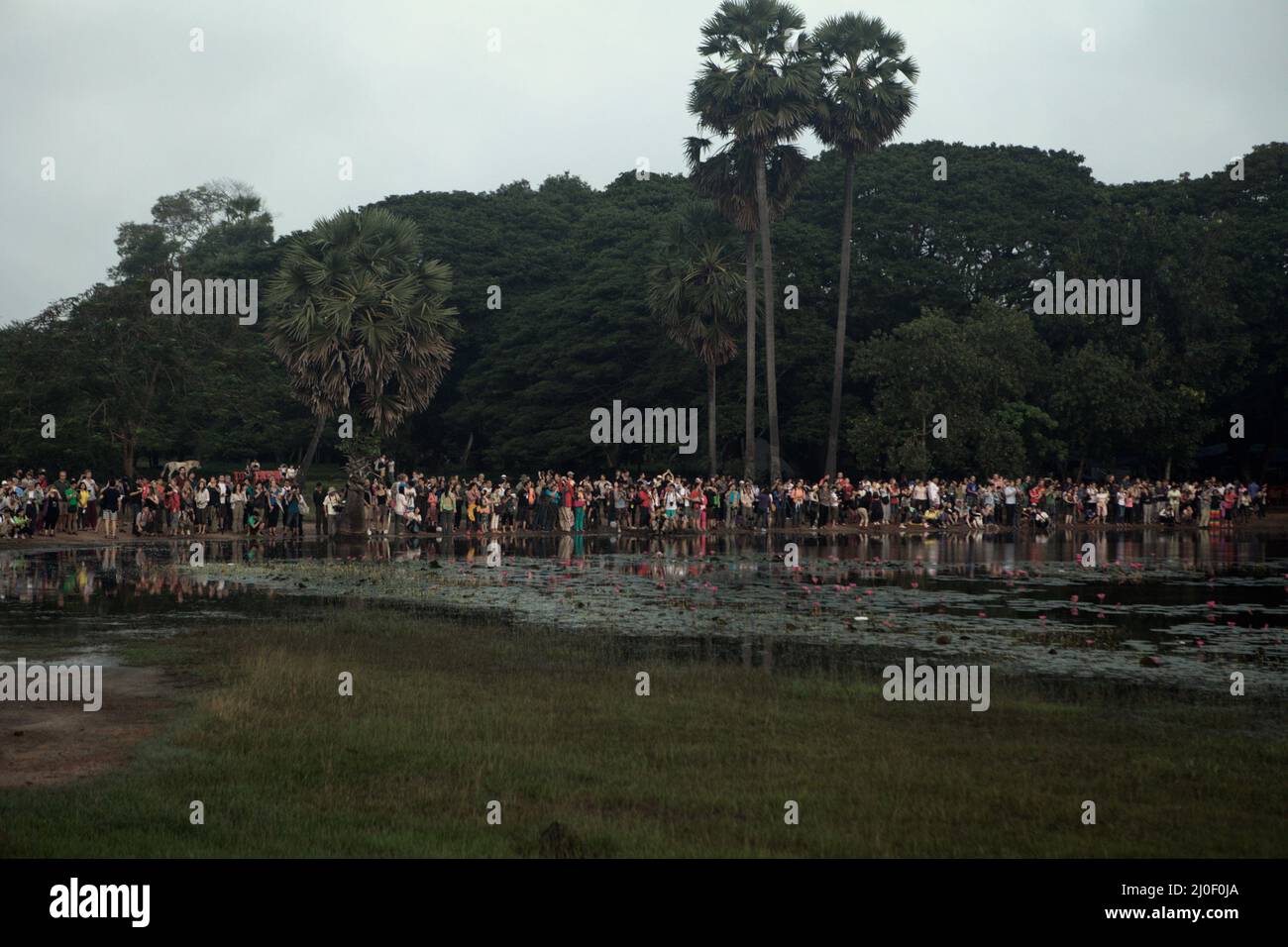 In der Hauptsaison in Siem Reap, Kambodscha, genießen internationale Touristen die Landschaft von Angkor Wat. Die hydraulische Stadt Angkor war die größte und dichteste Stadt der Welt, die in sechs Jahrzehnten (vom 8. Bis 14. Jahrhundert) erbaut wurde, um die Hauptstadt des mächtigen Khmer-Reiches zu werden; 1.000 Quadratkilometer grande Architektur bewohnten 750 bis 000 Einwohner. Credits: PACIFIC Imagica/Alamy Stockfoto
