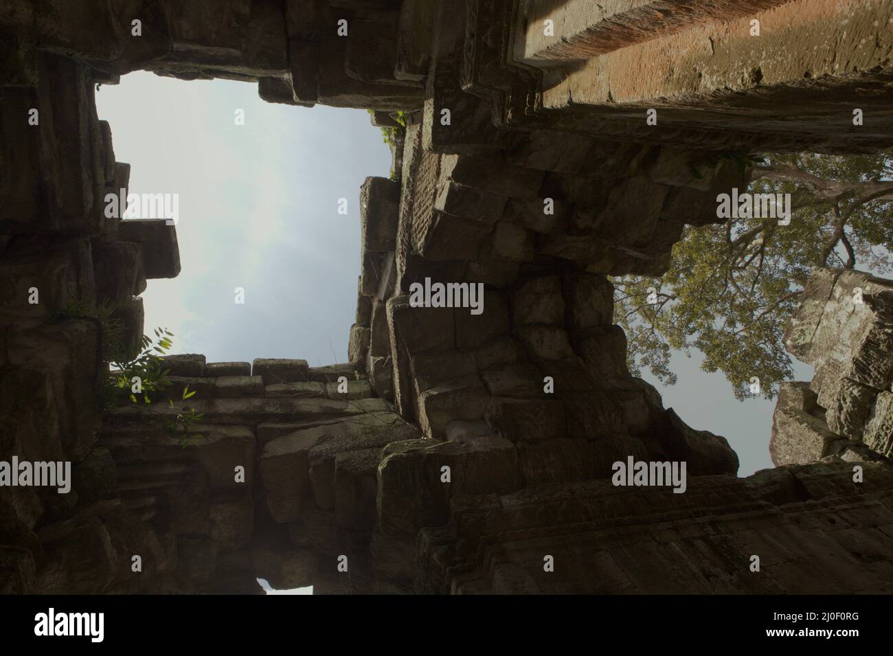 Ruinen des Preah Khan Tempels in Siem Reap, Kambodscha. Der Tempel wurde 1191 vom großen König Jayavarman VII. Seinem Vater erbaut. Heute hat der World Monuments Fund, der Restaurierungsprojekt in der Gegend leitet, Prasat Preah Khan (Preah Khan-Tempel) als „ein herausragendes Beispiel eines großen linearen Tempelkomplexes in einem dichten Dschungel“ beschrieben. Credits: PACIFIC Imagica/Alamy Stockfoto