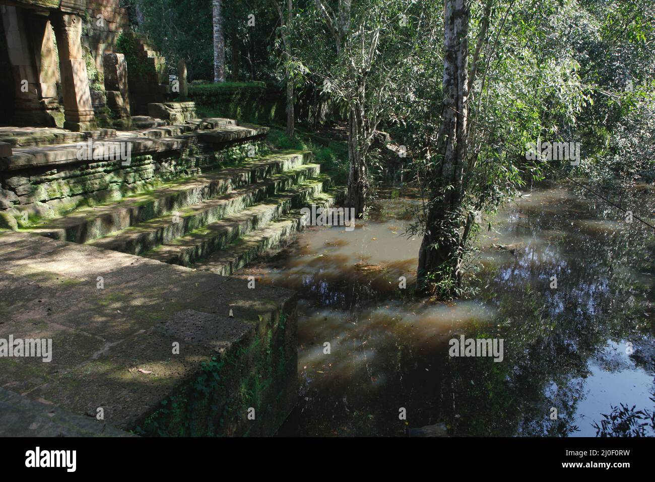 Ein alter Teich im Kloster Ta Prohm. Teiche, Kanäle und Stauseen im Archäologischen Park von Angkor wurden gebaut, um eine alte Zivilisation des Khmer-Reiches zu unterstützen. Die größte und bevölkerungsreichste Stadt der Welt, in der bis zu 900.000 Menschen lebten, bis Kriege und Klimakatastrophen im 14. Und 15. Jahrhundert sie zur Aufgabe gezwungen hatten. Credits: PACIFIC Imagica/Alamy Stockfoto