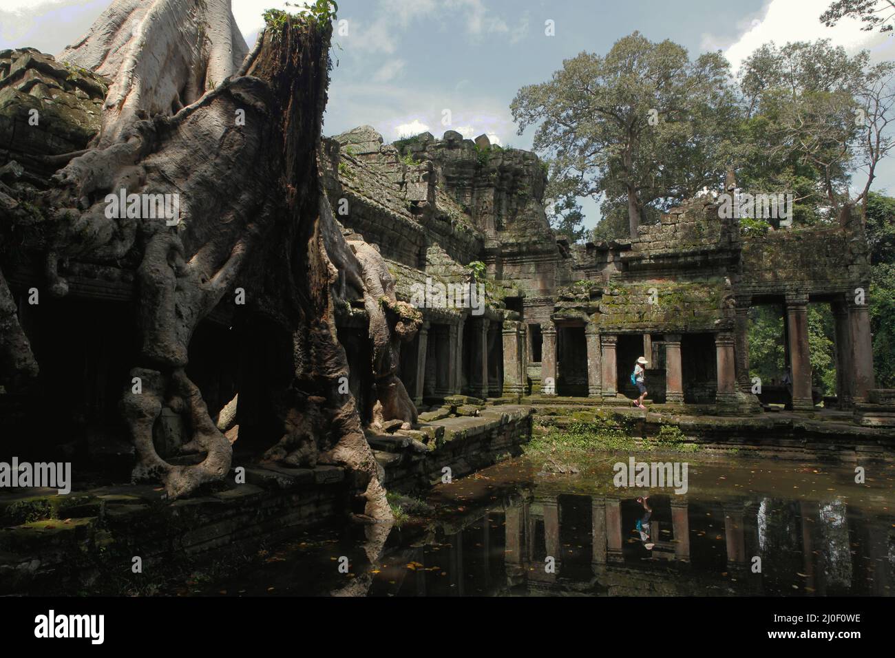 Eine Touristin, die Preah Khan erkundet und am antiken Teich des Tempels entlang spaziert. Teiche, Kanäle und Stauseen im Archäologischen Park von Angkor wurden gebaut, um eine alte Zivilisation des Khmer-Reiches zu unterstützen. Die größte und bevölkerungsreichste Stadt der Welt, in der bis zu 900.000 Menschen lebten, bis Kriege und Klimakatastrophen im 14. Und 15. Jahrhundert sie zur Aufgabe gezwungen hatten. Credits: Reynold Sumayku/Alamy Stockfoto