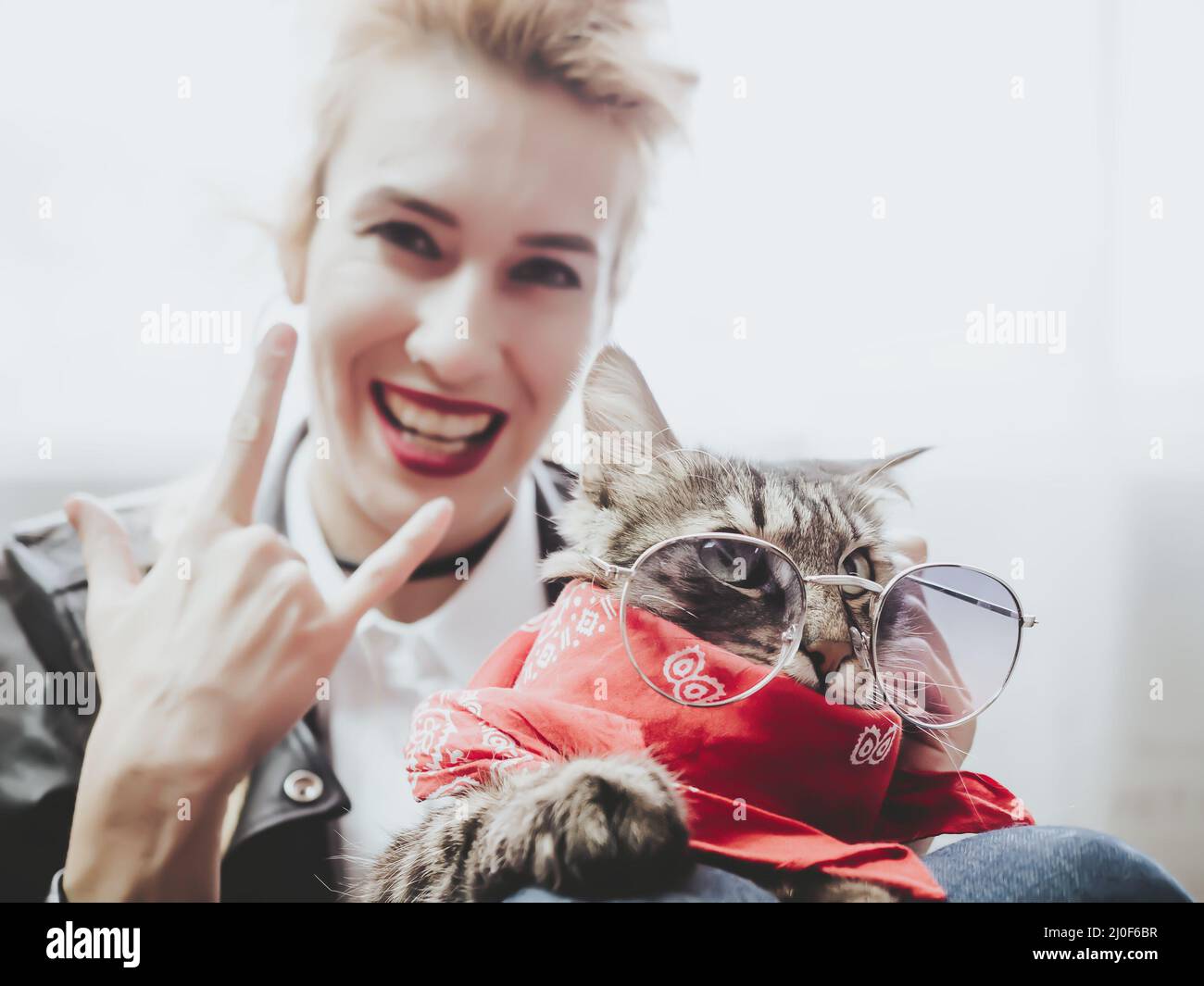 Russland, Sotschi 06.06.2020. Schöne Katze in Sonnenbrille sitzt auf dem Mädchen auf den Rädern und das Mädchen zeigt eine Geste von Rock Stockfoto