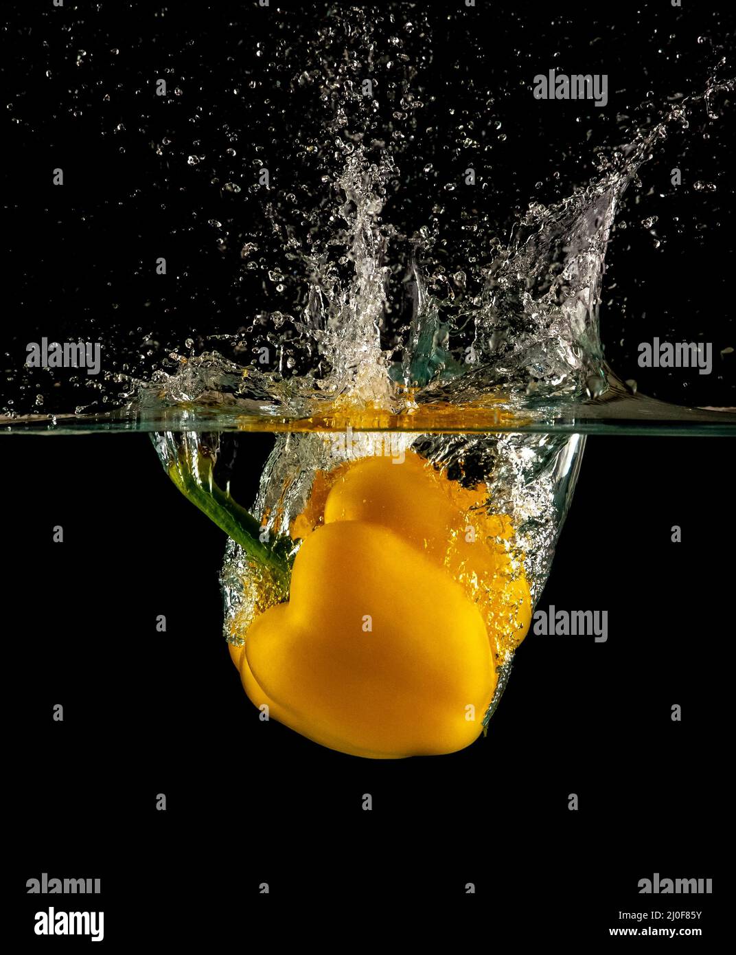 Gelbe Paprika abgeworfen und auf Wasser aufschlagen Stockfoto