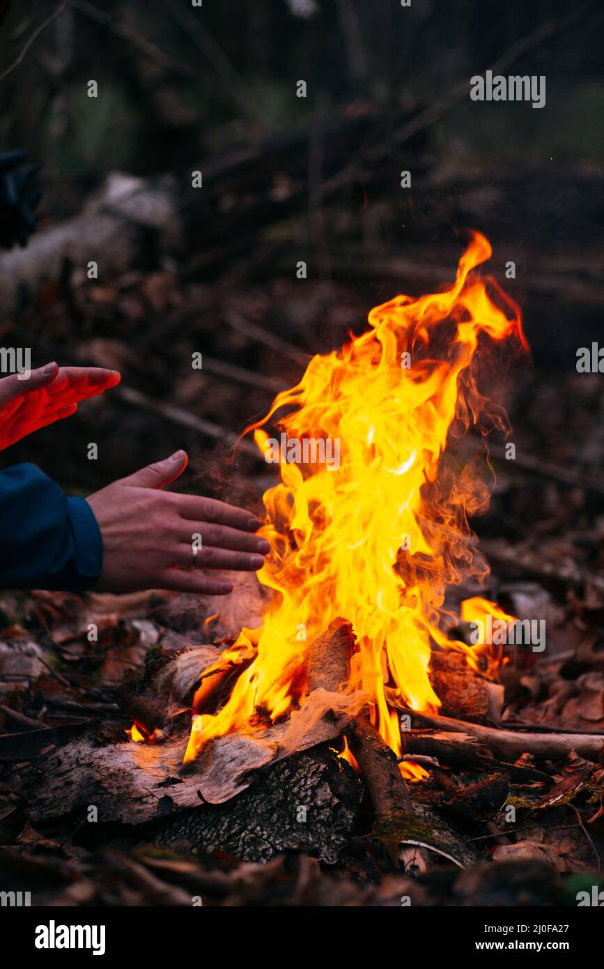 Der Mensch wärmt seine Hände auf Feuer. Brennendes Holz am Abend im Wald. Lagerfeuer im touristischen Camp in der Natur. Grillen und Kochen übertreffen Stockfoto