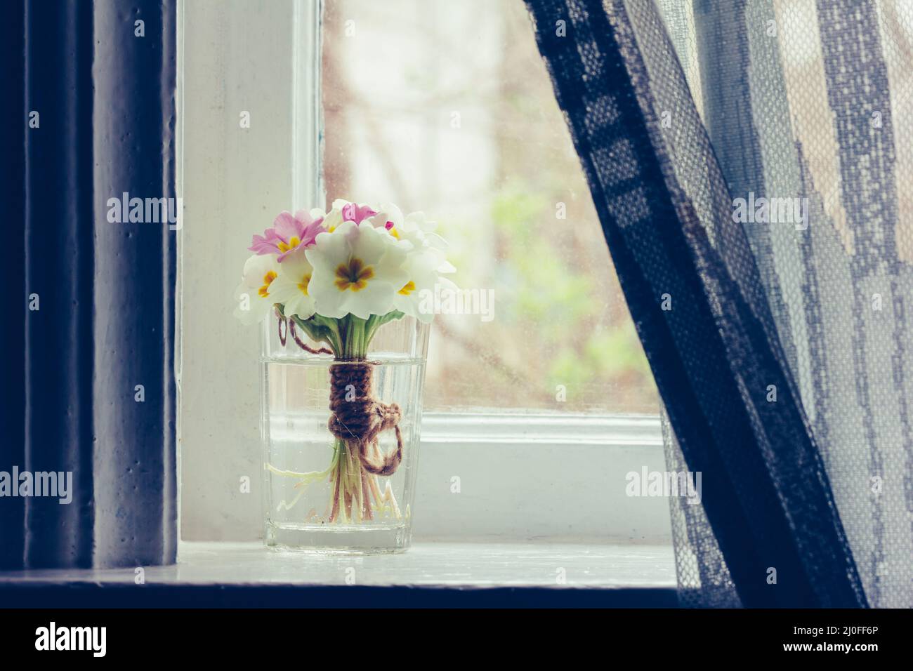 Stillleben ein Blumenstrauß von Primeln auf der Fensterbank im Bauernhaus Stockfoto