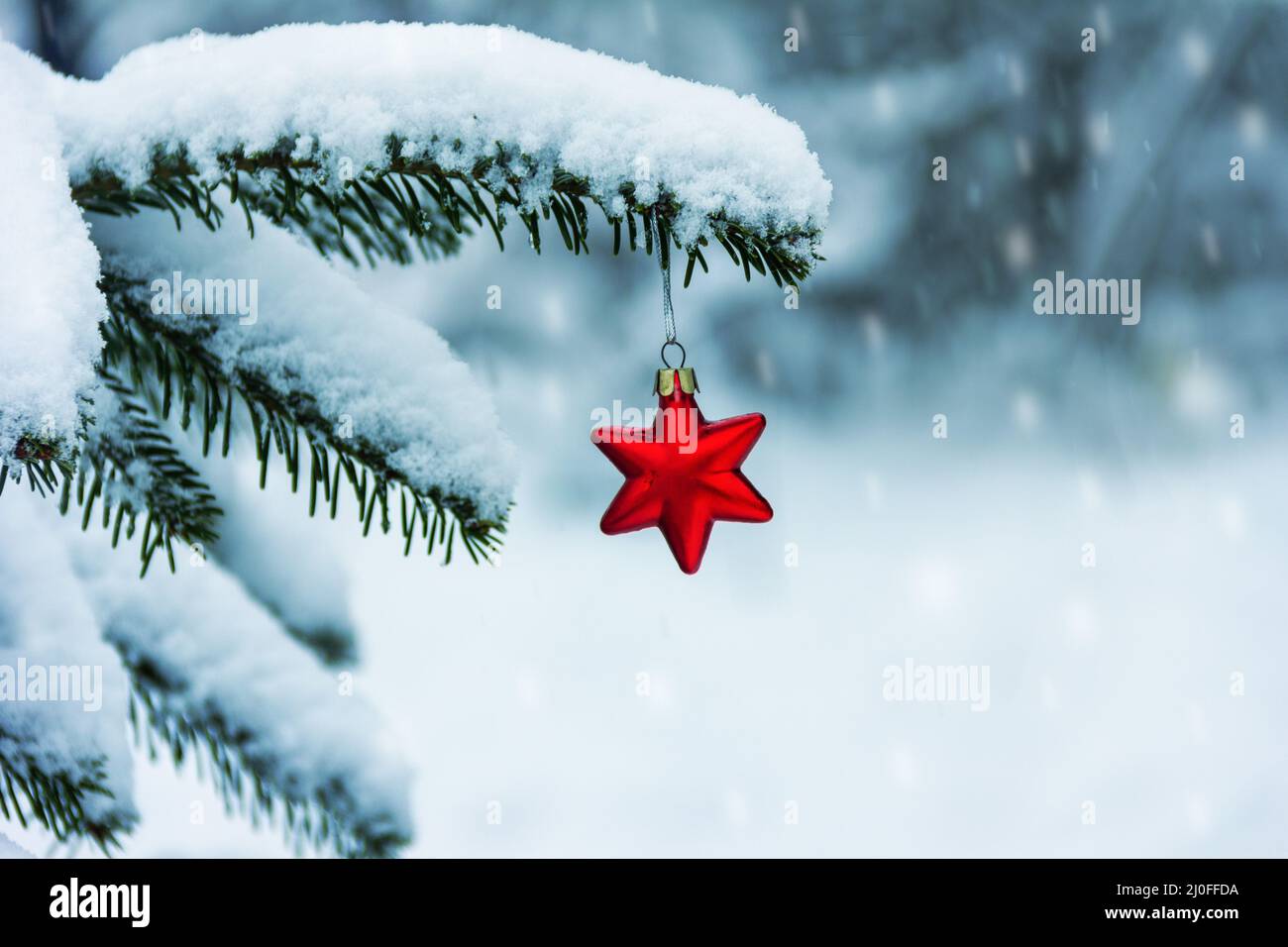 Rotes Weihnachtsbaumspielzeug in der Form eines Sterns auf einem schneebedeckten Zweig des Weihnachtsbaums und der fal Stockfoto