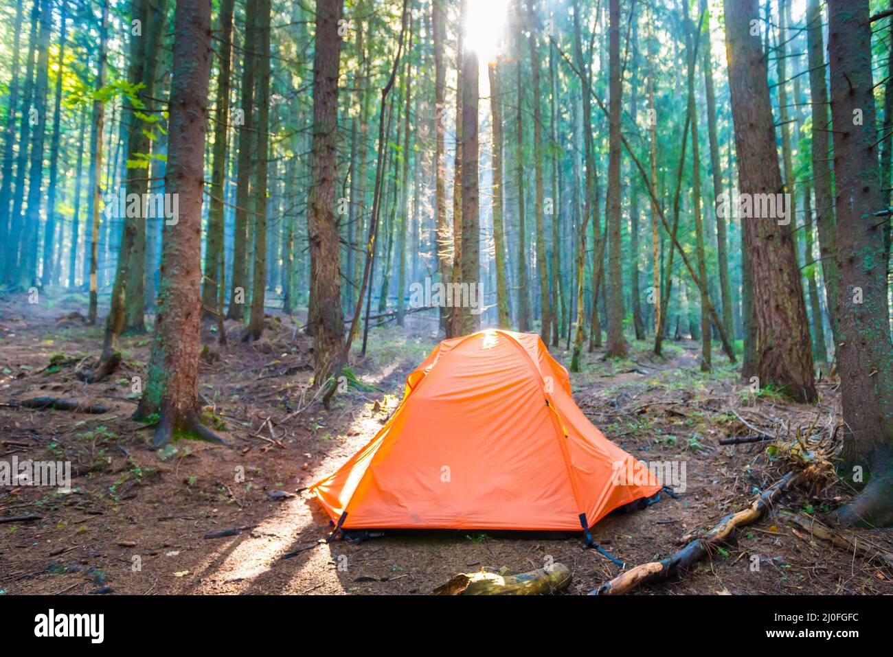 Orangefarbenes Zelt im grünen Wald Stockfoto