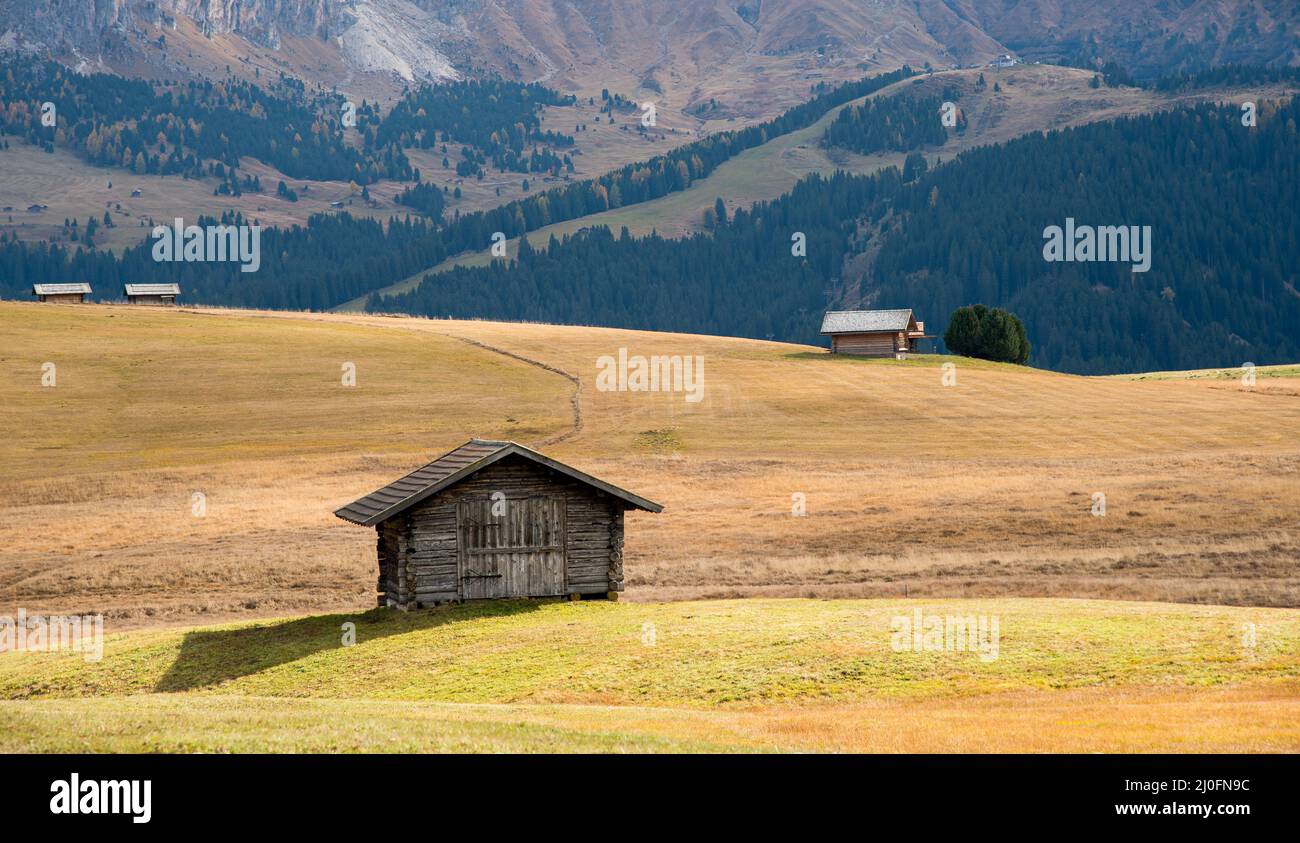 Landschaft mit Herbstwiese in Gelb und Grün und Blockhütten im seiser Alm-Tal im Dolomitengebiet in Süd-Tyro Stockfoto