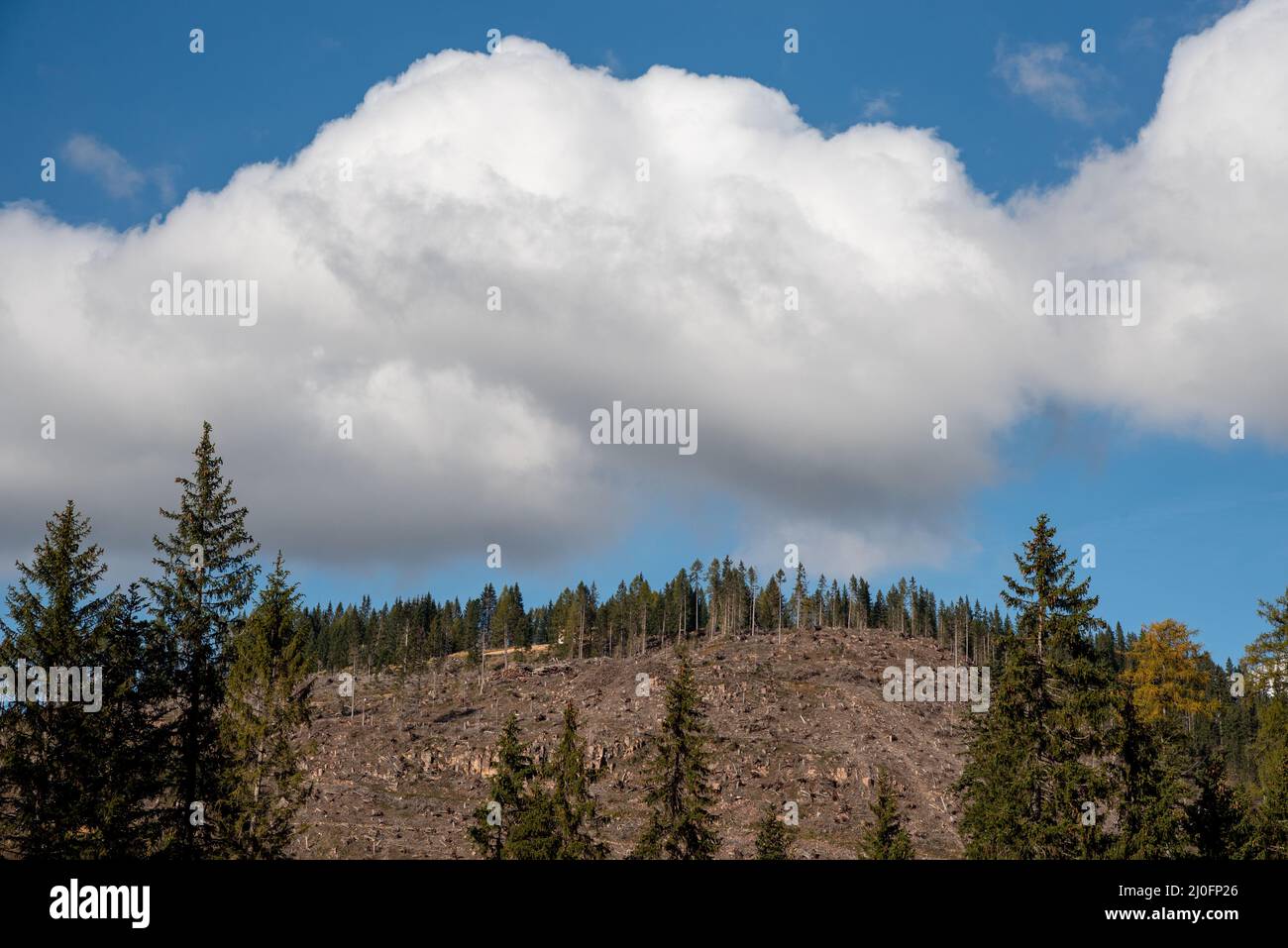 Berglandschaft mit Wolkenlandschaften, die die Berggipfel in Südtirol in Italien bedecken. Stockfoto