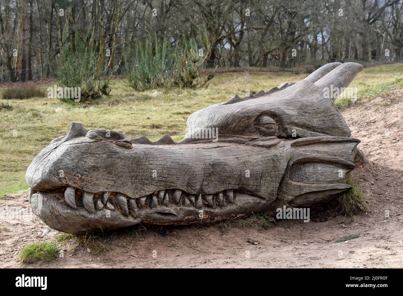 Schlafender Drache, West Stow Country Park, sufolk, england Stockfoto