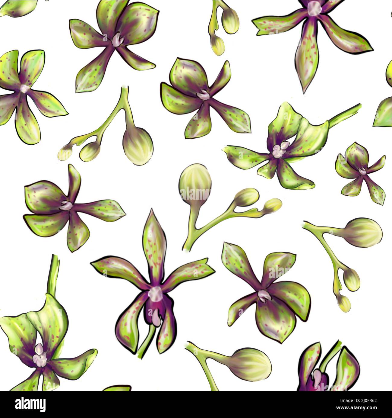 Aquarell Nahtloses Orchideenmuster auf weißem Hintergrund Stockfoto
