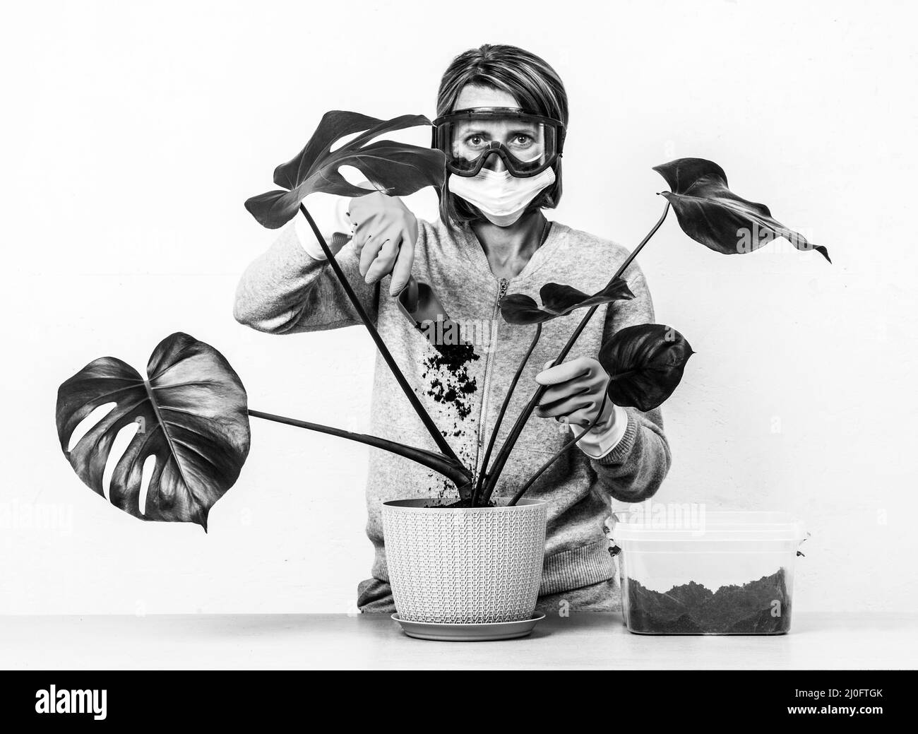 Eine junge Frau, die eine medizinische Maske und eine Schutzbrille trägt, schaufelt mit einem t Schmutz in einen Blumentopf Stockfoto