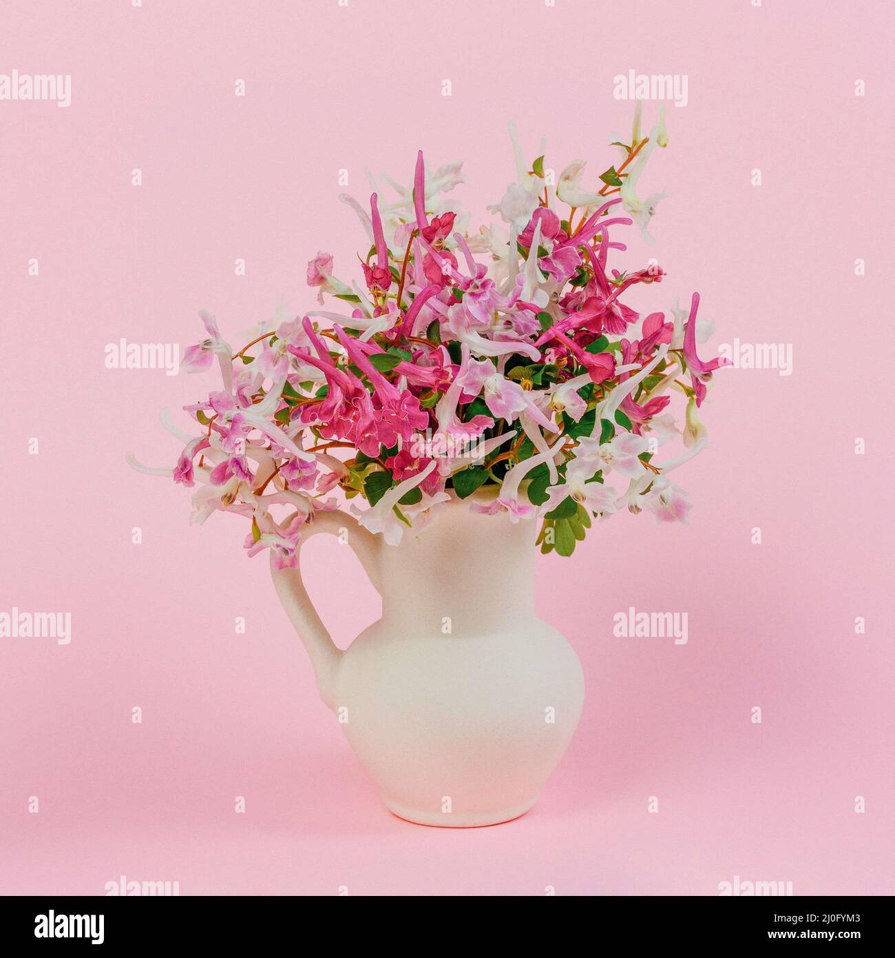 Stillleben mit einem Bouquet aus rosa, weißen und lila roten Blüten in einem weißen Krug auf einem rosa Hintergrund Stockfoto