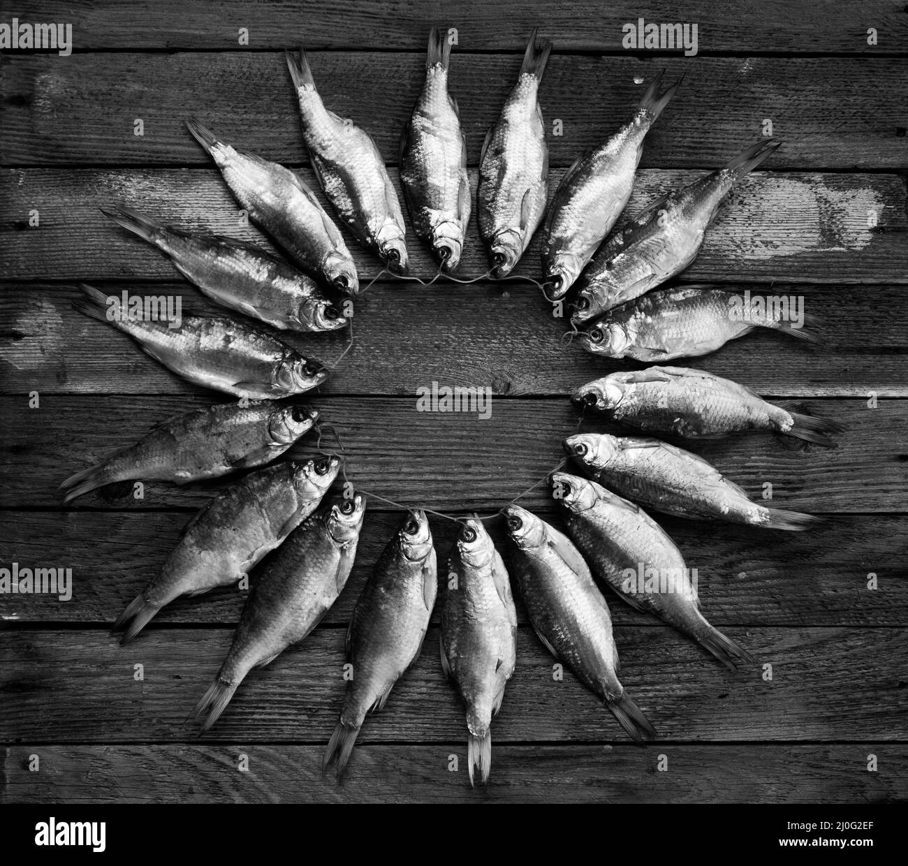Kreis von getrockneten Fischen auf einem Holztisch, Schwarz-Weiß-Foto Stockfoto