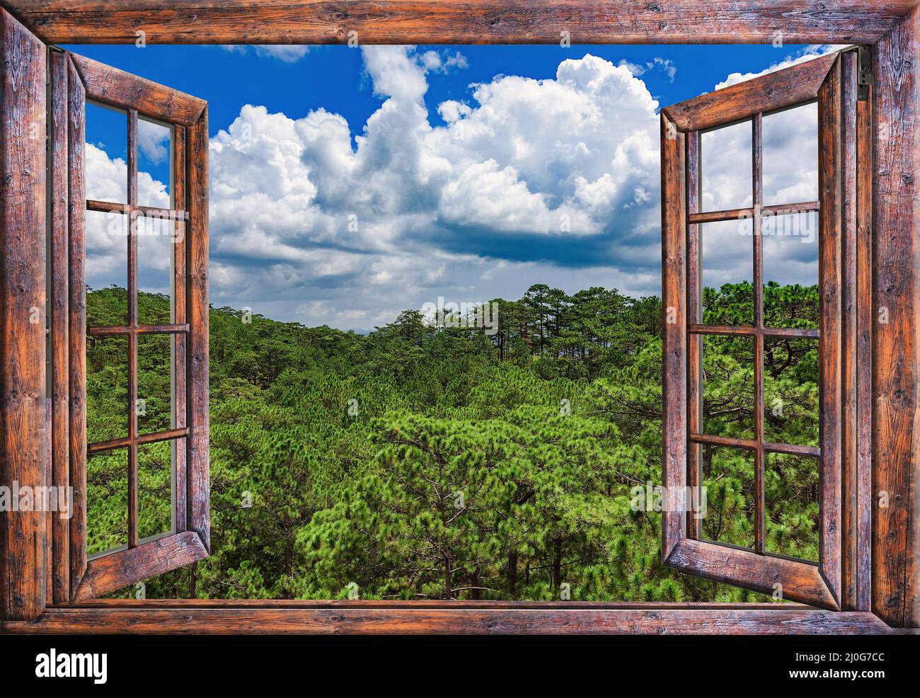 Blick von einem offenen Fenster auf den Dschungel Stockfoto