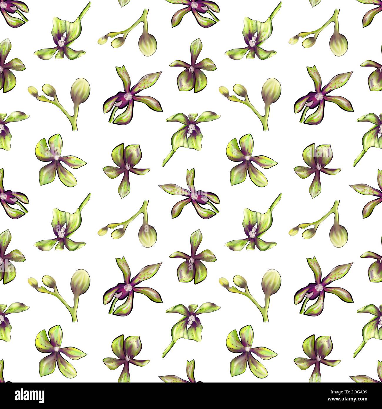 Nahtloses botanisches Muster einer Orchidee auf weißem Hintergrund Stockfoto