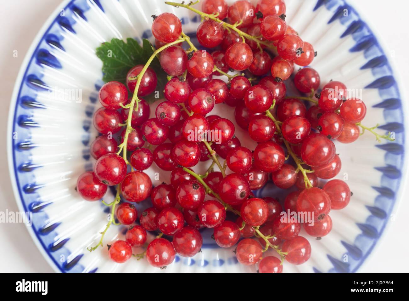 Rote Johannisbeeren auf einer Untertasse mit blauem Rand. Stockfoto