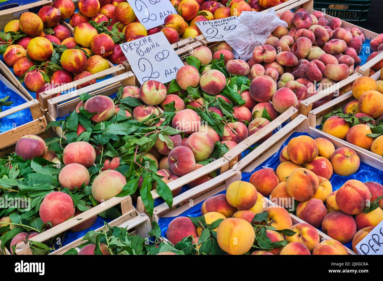 Verschiedene Arten von Pfirsichen und Nektarinen zum Verkauf bei A Markt Stockfoto
