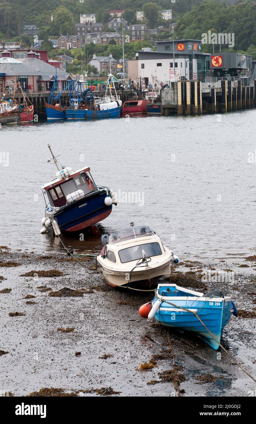 Fischerboote an der Küste auf dem Fischerhafen von Oban Stadt im schottischen Hochland Stockfoto